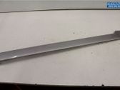 Rear door trim (molding)