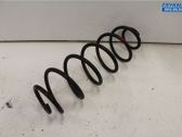 Rear coil spring