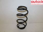 Front coil spring