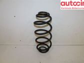 Rear coil spring