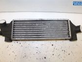 Intercooler radiator