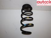 Rear coil spring
