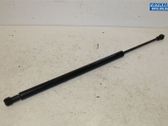 Tailgate strut