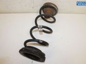Rear coil spring