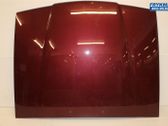 Engine bonnet/hood