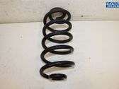 Rear coil spring