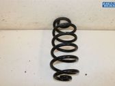 Rear coil spring