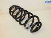 Muelle espiral trasero