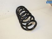 Muelle espiral trasero