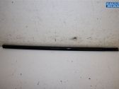 Listón embellecedor de la puerta delantera (moldura)