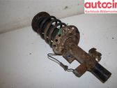 Front shock absorber with coil spring