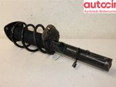 Front shock absorber with coil spring