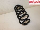 Rear coil spring