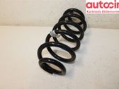 Rear coil spring