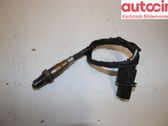 Sonde lambda