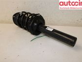 Front shock absorber with coil spring