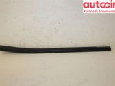 Rear door trim (molding)