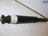 Stoßdämpfer hinten