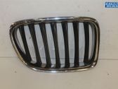 Front bumper lower grill