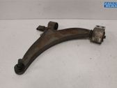 Front lower control arm/wishbone