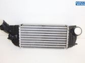 Intercooler radiator