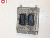 Injection control unit/module