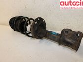 Amortiguador delantero con muelle espiral