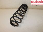 Rear coil spring