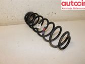 Rear coil spring