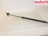 Tailgate strut