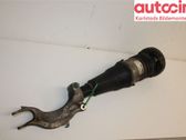 Front shock absorber with coil spring