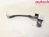 Positive cable (battery)