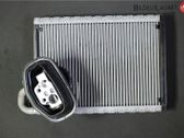 Heater blower radiator
