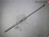 Front bonnet/hood damper/strut