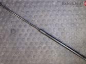 Front bonnet/hood damper/strut