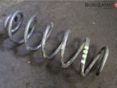 Feder hinten