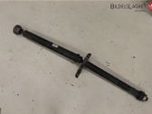 Drive shaft (set)
