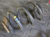 Muelle espiral trasero