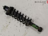 Stoßdämpfer hinten