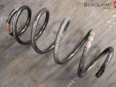 Front coil spring