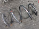 Front coil spring