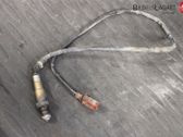Sonde lambda