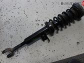 Front shock absorber with coil spring