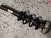 Amortiguador delantero con muelle espiral