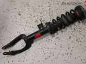 Front shock absorber with coil spring