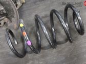 Front coil spring