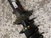 Amortiguador delantero con muelle espiral