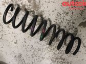 Rear coil spring