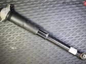 Stoßdämpfer hinten