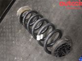 Muelle espiral trasero